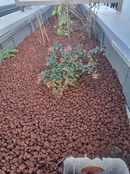 Jardinière étanchée, finition pouzzolane – Sept Étanchéité Services, Toulouse